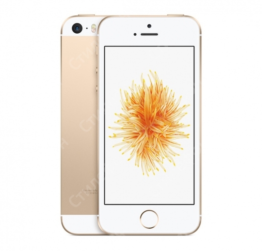 Apple iPhone SE 16 GB Gold (Золотой)